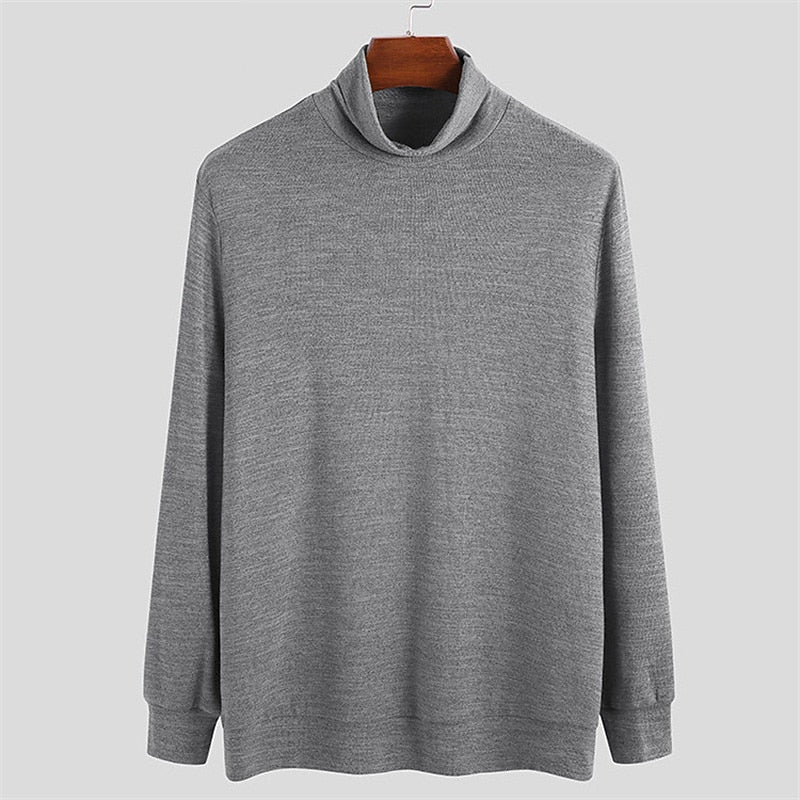 Benjamin | Casual Turtleneck Sweater