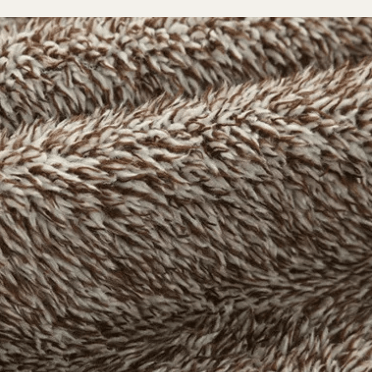 Lansbury | Leather Jacket with Fleece Lining and Stand Collar - Rob Stevenson