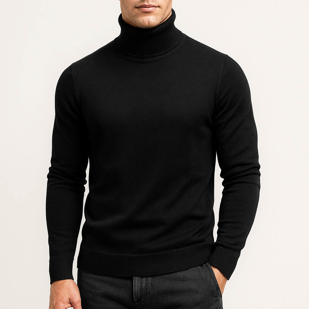 Dominic | Solid Turtleneck Sweater