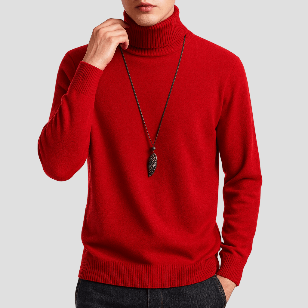 Lucas | Cozy Turtleneck Knit Sweater