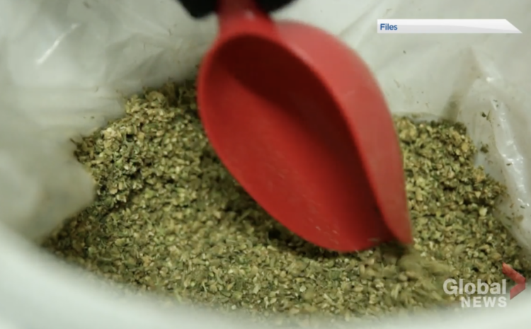  Limiting cannabis stores on Ontario First Nations against ‘community sovereignty’: regional chief
